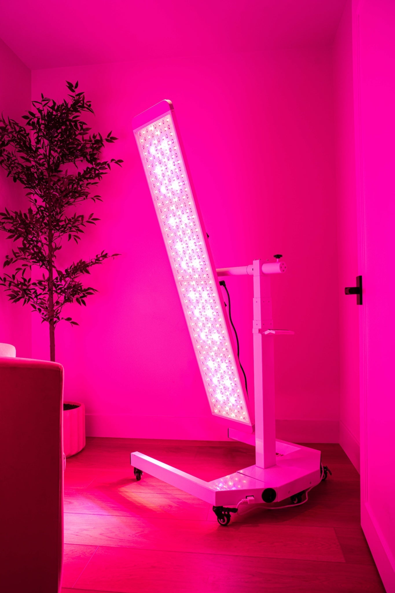 Renew Panorama full-body red light therapy panel on its rolling stand