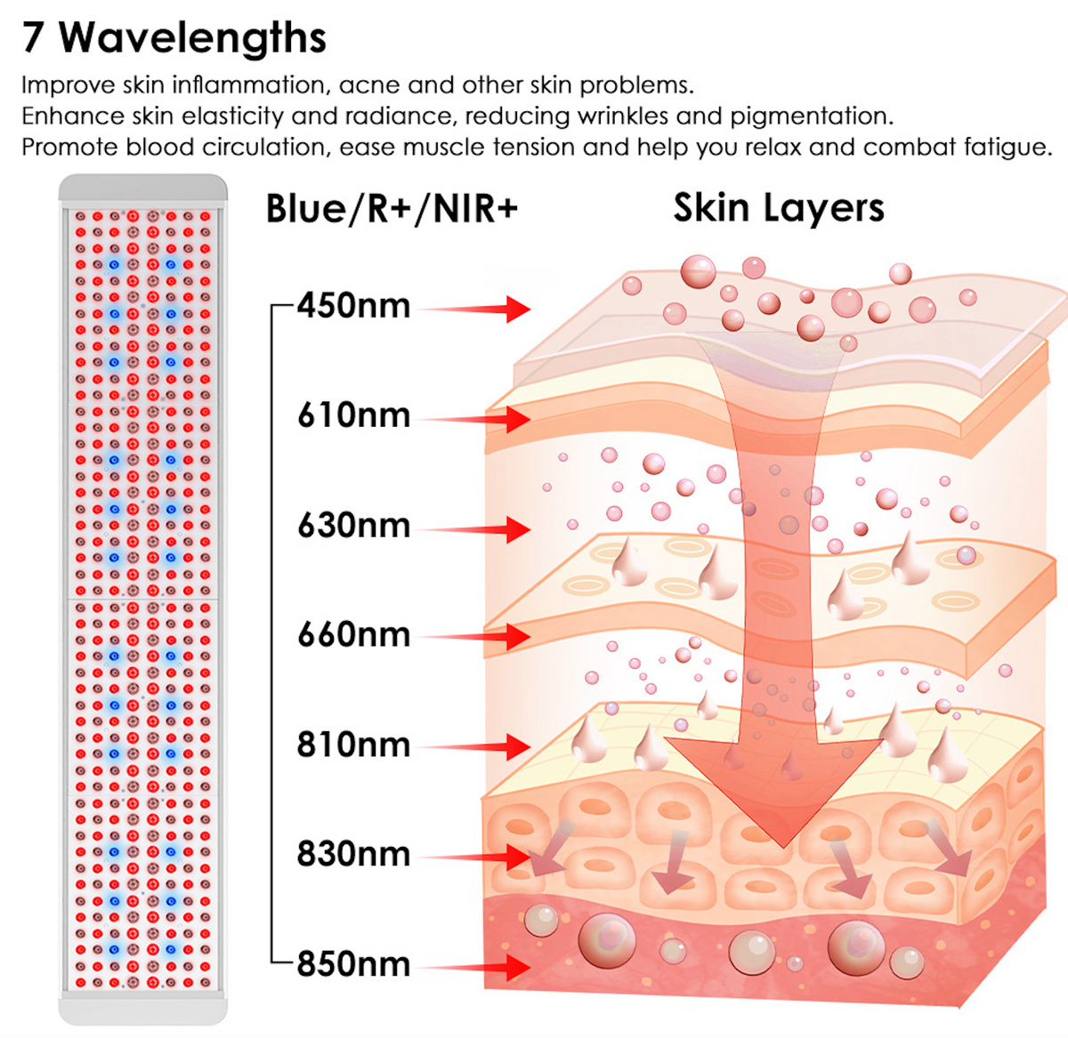Renew Panorama panel, diagram of the red and near-infrared wavelengths